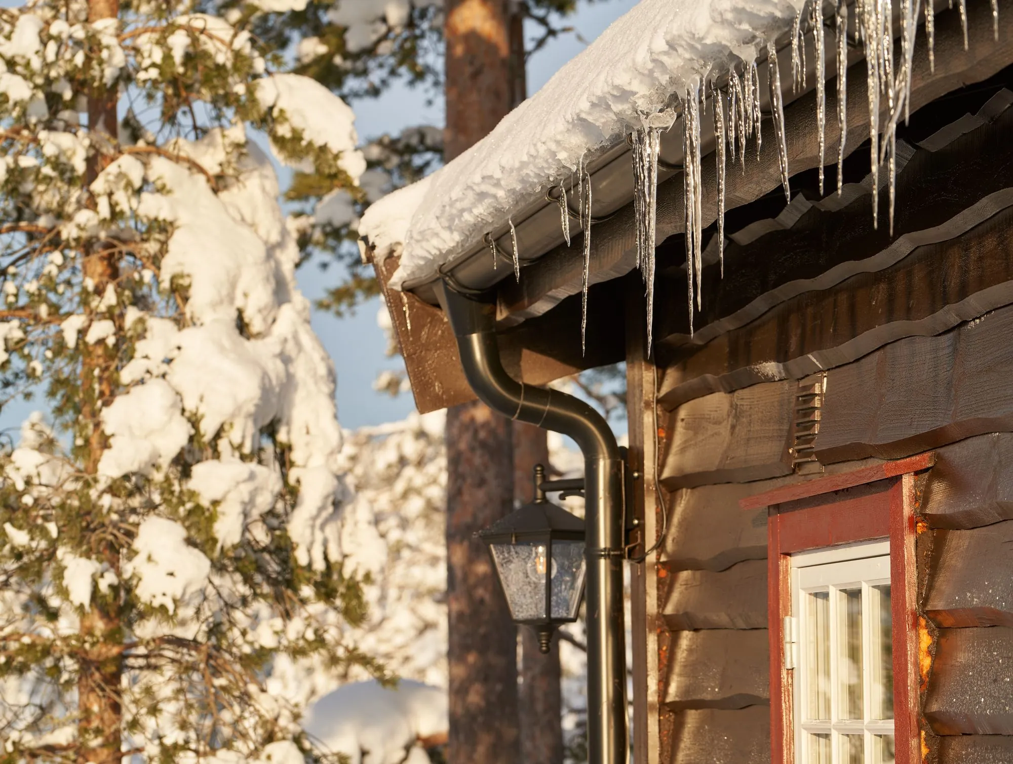 Icicles hanging from a gutter along a roof edge