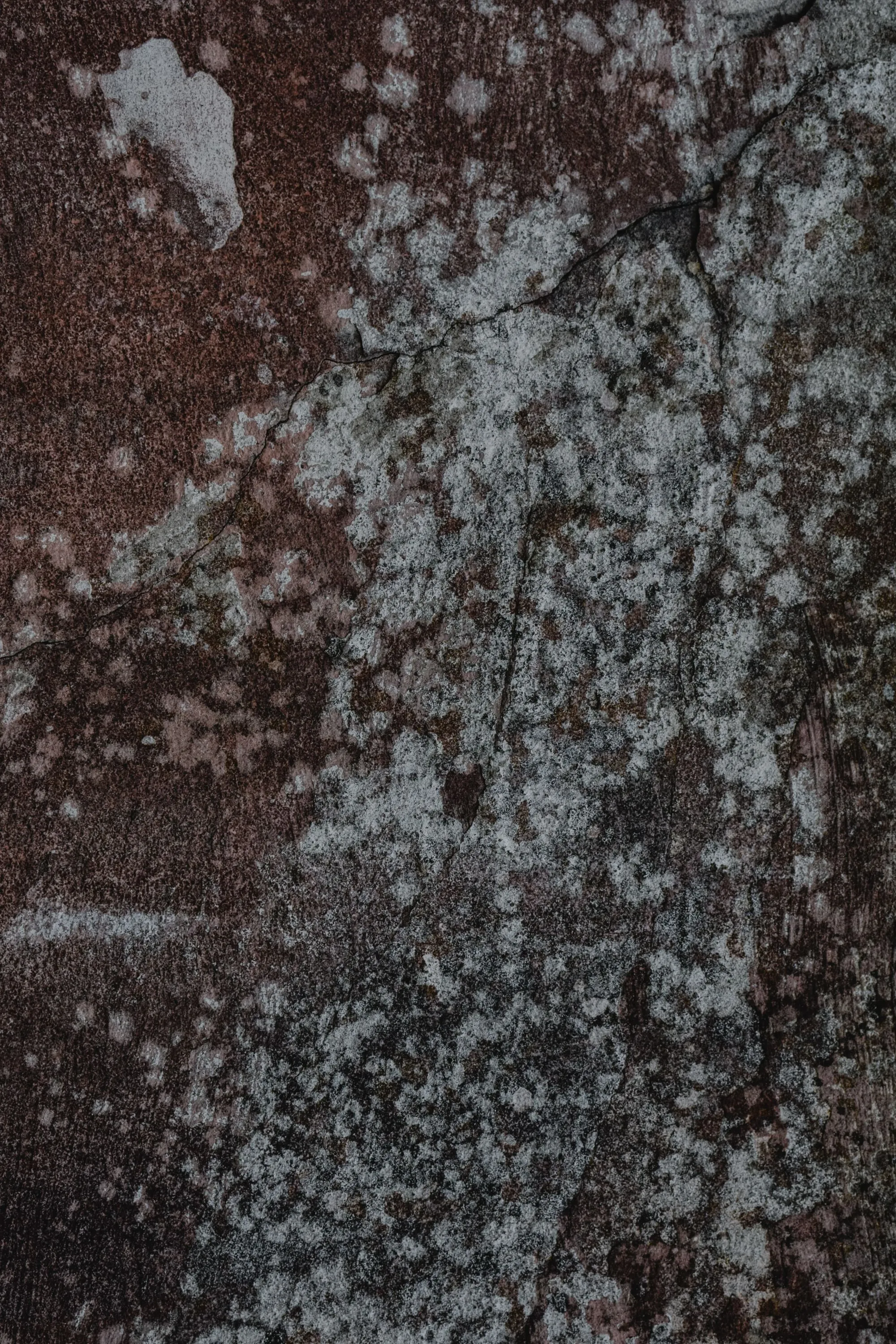 Damp staining spread across a surface below a roof leak