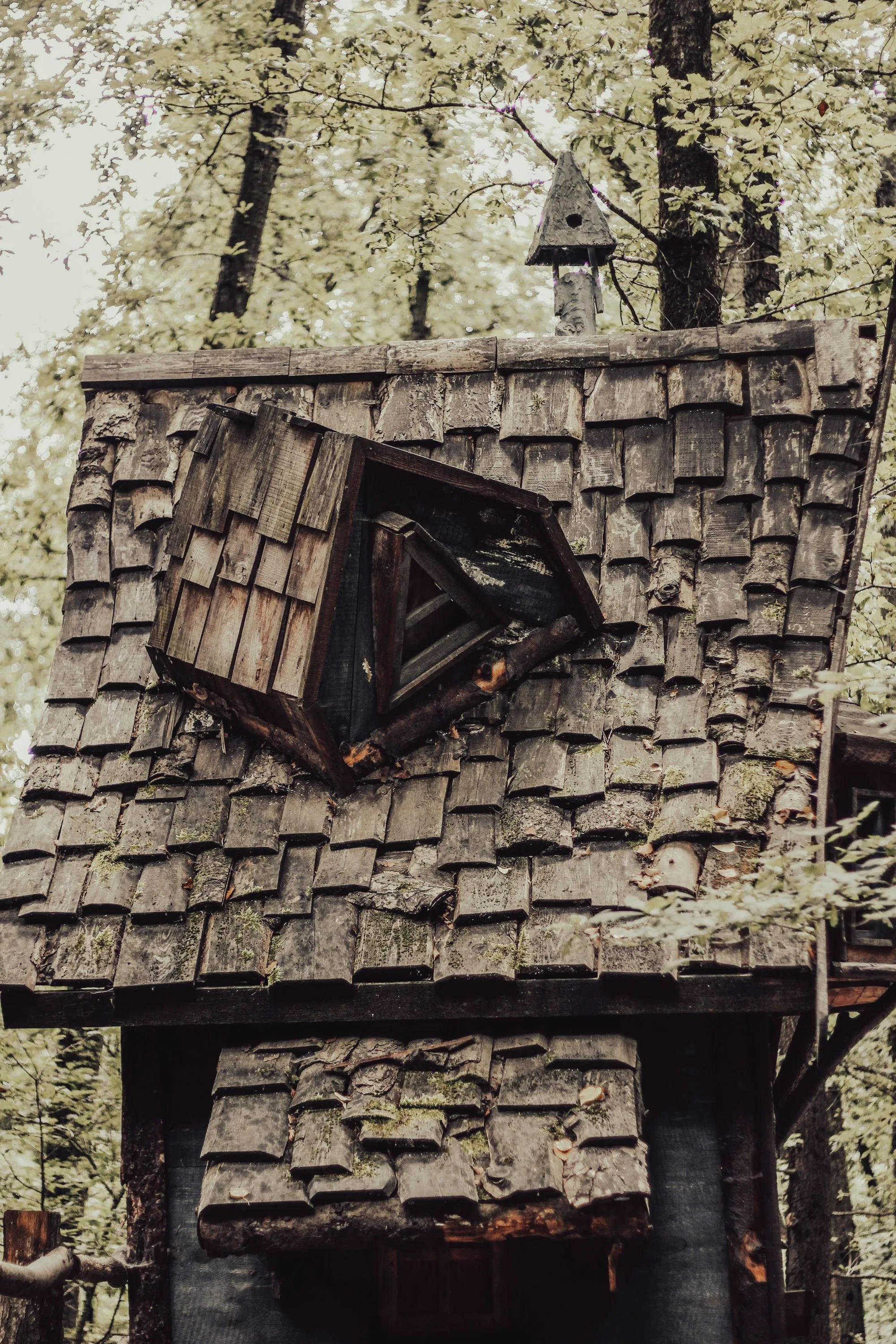 A split and lifted section of roof covering