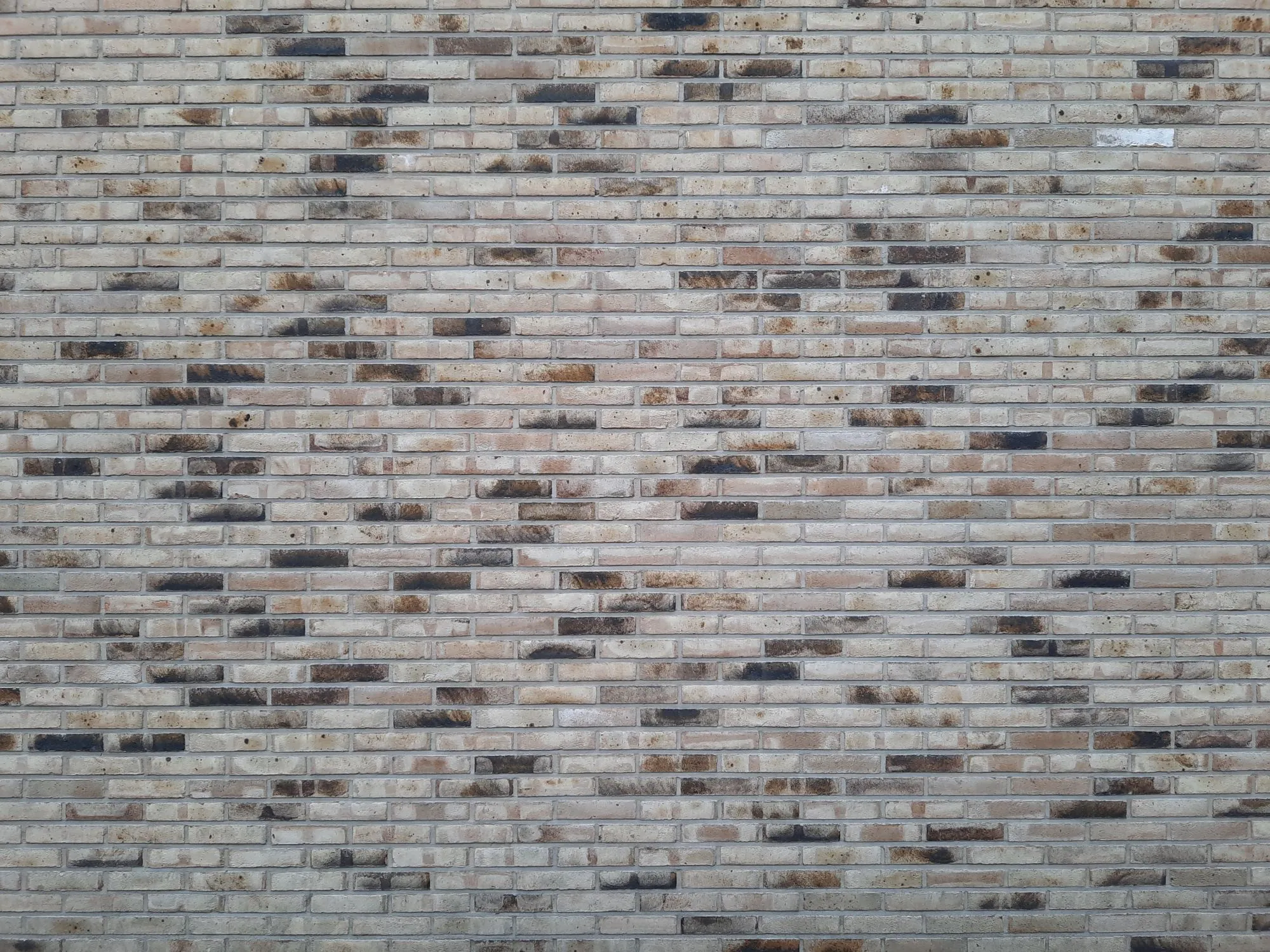 A field of new shingle courses across a roof slope